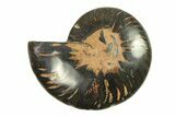 Cut & Polished Ammonite Fossil (Half) - Unusual Black Color #296317-1